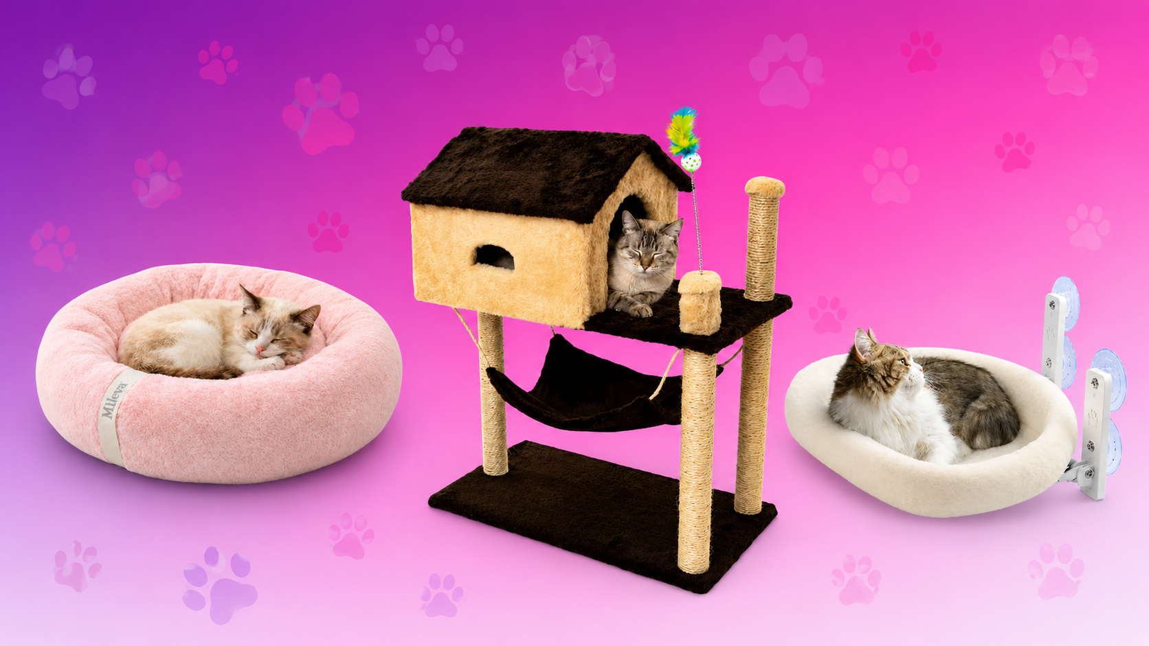 Conforto para gatos 2026 — camas, casinhas e arranhadores que previnem doenças